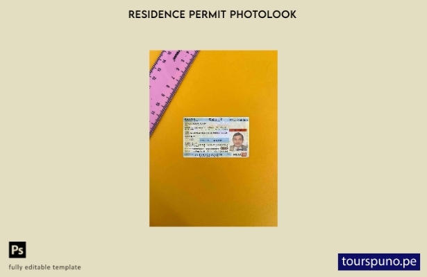 listo para imprimir plantilla FRONTAL de aspecto fotográfico del permiso de re 3